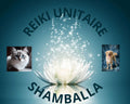 Soin Reiki Unitaire Shamballa pour Animaux