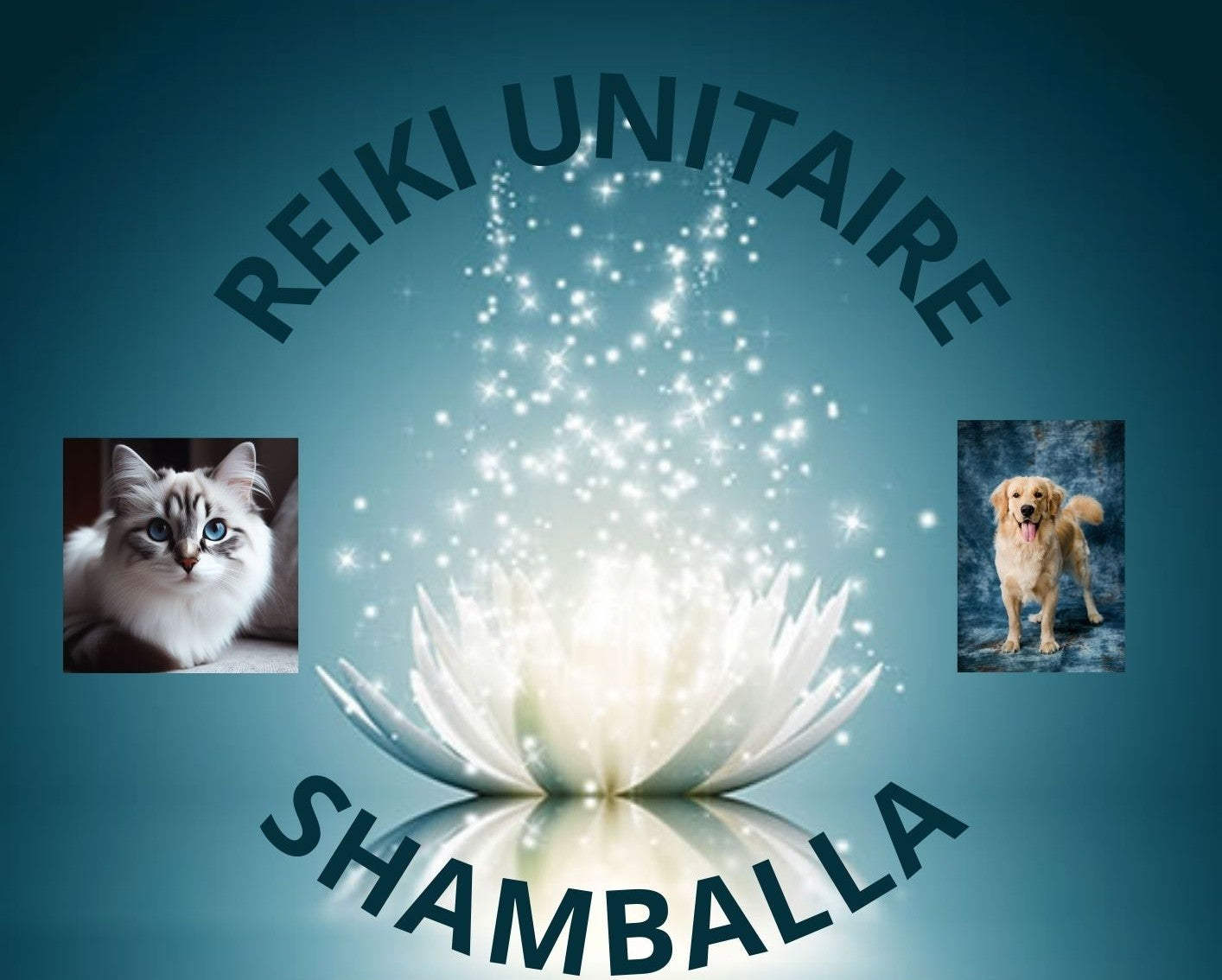 Soin Reiki Unitaire Shamballa pour Animaux